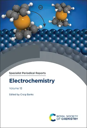 Banks |  Electrochemistry | Buch |  Sack Fachmedien