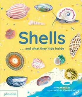 Scales / Pulido |  Shells... and what they hide inside | Buch |  Sack Fachmedien