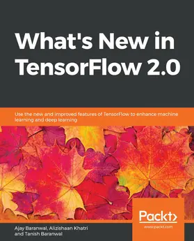 Baranwal / Khatri |  What's New in TensorFlow 2.0 | eBook | Sack Fachmedien