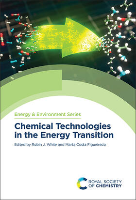 White / Figueiredo |  Chemical Technologies in the Energy Transition | Buch |  Sack Fachmedien