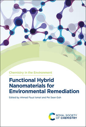 Ismail / Goh |  Functional Hybrid Nanomaterials for Environmental Remediation | Buch |  Sack Fachmedien