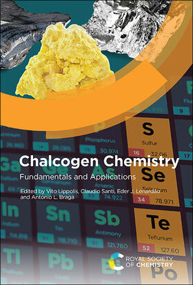 Braga / Santi / Lippolis |  Chalcogen Chemistry | Buch |  Sack Fachmedien