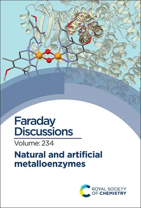  Natural and Artificial Metalloenzymes | Buch |  Sack Fachmedien