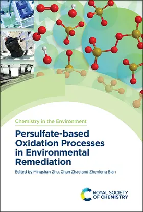 Zhu / Bian / Zhao |  Persulfate-based Oxidation Processes in Environmental Remediation | eBook | Sack Fachmedien