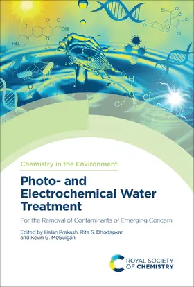 Prakash / Dhodapkar / McGuigan |  Photo- and Electrochemical Water Treatment | eBook | Sack Fachmedien