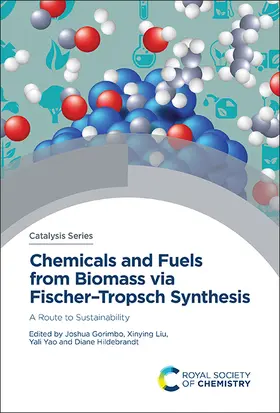 Gorimbo / Liu / Yao |  Chemicals and Fuels from Biomass via Fischer–Tropsch Synthesis | eBook | Sack Fachmedien