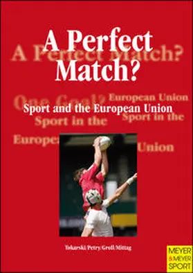 Tokarski / Petry / Groll | A Perfect Match? | Buch | 978-1-84126-271-0 | sack.de