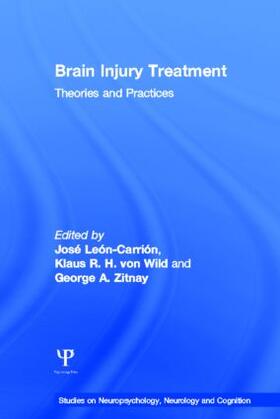 Leon-Carrion / von Wild / Zitnay |  Brain Injury Treatment | Buch |  Sack Fachmedien