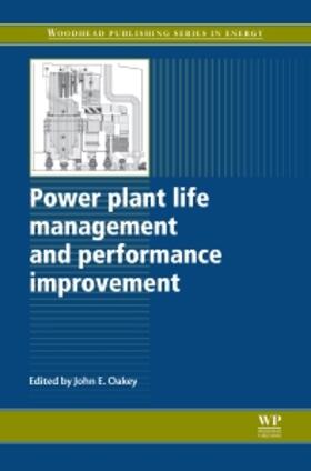 Oakey | Power Plant Life Management and Performance Improvement | Buch | 978-1-84569-726-6 | sack.de