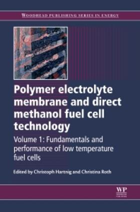 Hartnig / Roth |  Polymer Electrolyte Membrane and Direct Methanol Fuel Cell Technology | Buch |  Sack Fachmedien