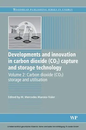 Maroto-Valer |  Developments and Innovation in Carbon Dioxide (CO2) Capture and Storage Technology | eBook | Sack Fachmedien