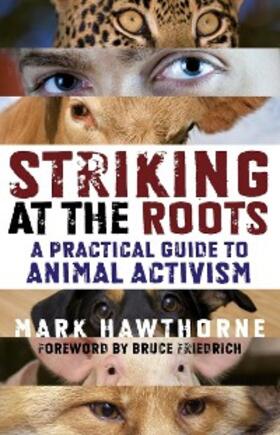 Hawthorne |  Striking at the Roots | eBook | Sack Fachmedien