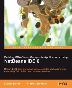 Salter |  Building SOA-Based Composite Applications Using NetBeans IDE 6 | eBook | Sack Fachmedien