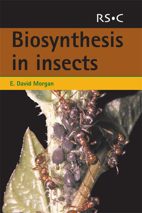 Morgan |  Biosynthesis in Insects | eBook | Sack Fachmedien