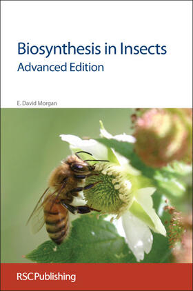 Morgan |  Biosynthesis in Insects | Buch |  Sack Fachmedien