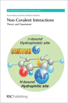 Hobza / Muller-Dethlefs |  Non-Covalent Interactions | Buch |  Sack Fachmedien