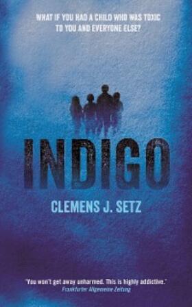 Setz |  Indigo | eBook | Sack Fachmedien