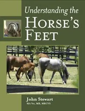 Stewart |  Understanding the Horse's Feet | eBook | Sack Fachmedien