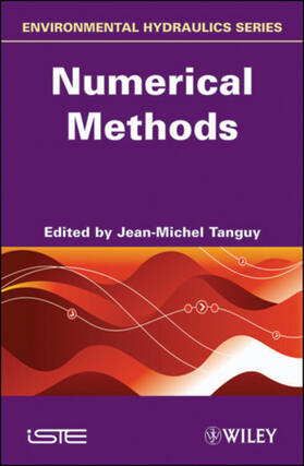 Tanguy |  Numerical Methods | Buch |  Sack Fachmedien