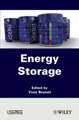 Brunet |  Energy Storage | Buch |  Sack Fachmedien