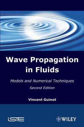 Guinot |  Wave Propagation in Fluids | Buch |  Sack Fachmedien