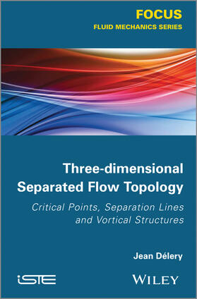 Délery |  Three-Dimensional Separated Flow Topology | Buch |  Sack Fachmedien