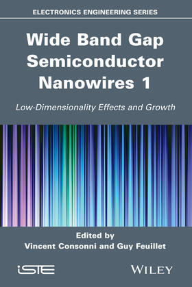 Consonni / Feuillet / Baptist |  Wide Band Gap Semiconductor Nanowires 1 | Buch |  Sack Fachmedien
