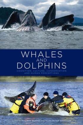 Brakes / Simmonds |  Whales and Dolphins | Buch |  Sack Fachmedien