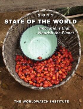 Institute |  State of the World 2011 | Buch |  Sack Fachmedien