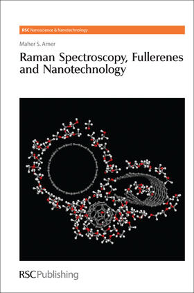 Amer |  Raman Spectroscopy, Fullerenes and Nanotechnology | eBook | Sack Fachmedien