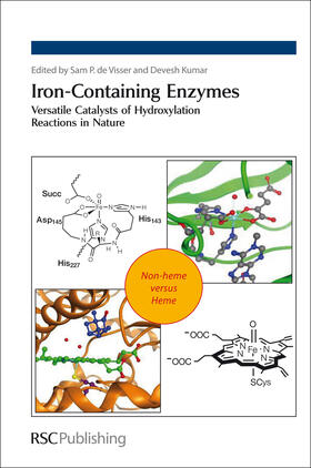 de Visser / Kumar |  Iron-Containing Enzymes | Buch |  Sack Fachmedien