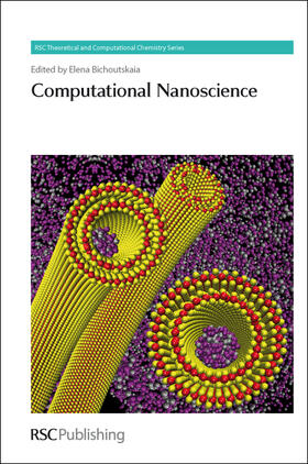 Bichoutskaia |  Computational Nanoscience | eBook | Sack Fachmedien