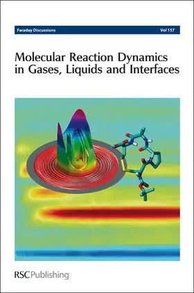  Molecular Reaction Dynamics in Gases, Liquids and Interfaces | Buch |  Sack Fachmedien