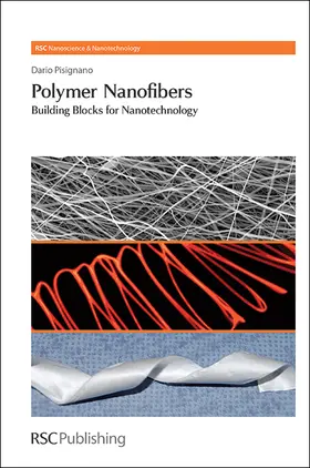 Pisignano |  Polymer Nanofibers | Buch |  Sack Fachmedien