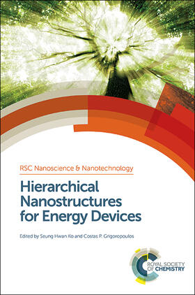 Ko / Grigoropoulos |  Hierarchical Nanostructures for Energy Devices | Buch |  Sack Fachmedien