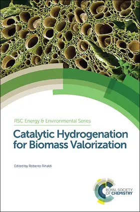 Rinaldi |  Catalytic Hydrogenation for Biomass Valorization | Buch |  Sack Fachmedien