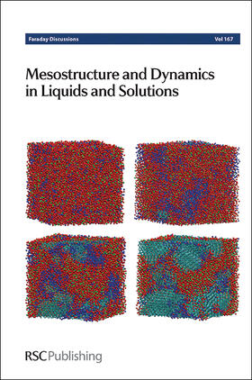  Mesostructure and Dynamics in Liquids and Solutions | Buch |  Sack Fachmedien