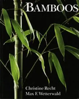 Recht / Wetterwald |  Bamboos | eBook | Sack Fachmedien