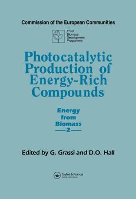 Grassi / Hall |  Photocatalytic Production of Energy-Rich Compounds | Buch |  Sack Fachmedien