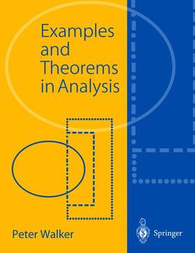 Walker |  Examples and Theorems in Analysis | Buch |  Sack Fachmedien
