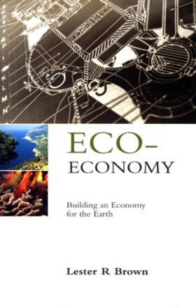 Brown |  Eco-Economy | Buch |  Sack Fachmedien