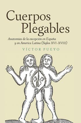 Pueyo |  Cuerpos plegables | Buch |  Sack Fachmedien