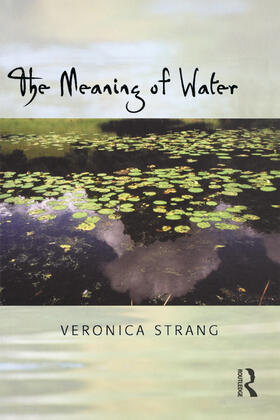 Strang |  The Meaning of Water | Buch |  Sack Fachmedien
