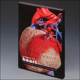  Exploring the Heart: A 3D Overview of Anatomy and Pathology | Sonstiges |  Sack Fachmedien