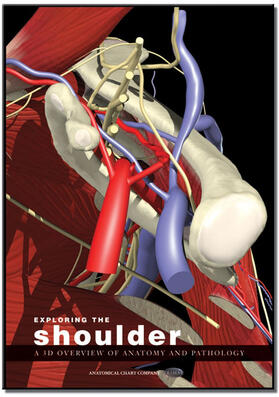 Exploring the Shoulder: A 3D Overview of Anatomy and Pathology | Sonstiges | 978-1-904369-36-3 | sack.de