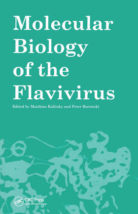 Kalitzky / Borowski |  Molecular Biology of the Flavivirus | Buch |  Sack Fachmedien