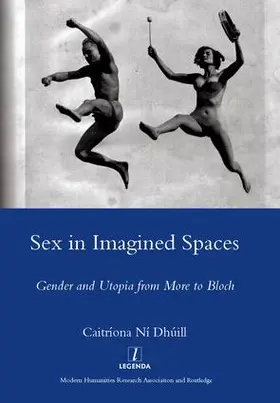 Dhuill |  Sex in Imagined Spaces | Buch |  Sack Fachmedien