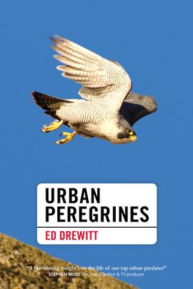 Drewitt |  Urban Peregrines | eBook | Sack Fachmedien