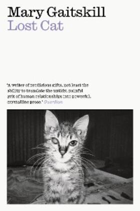 Gaitskill |  Lost Cat | eBook | Sack Fachmedien