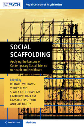Williams / Kemp / Haslam |  Social Scaffolding | Buch |  Sack Fachmedien